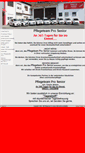 Mobile Screenshot of pflegeteam-pro-senior.de